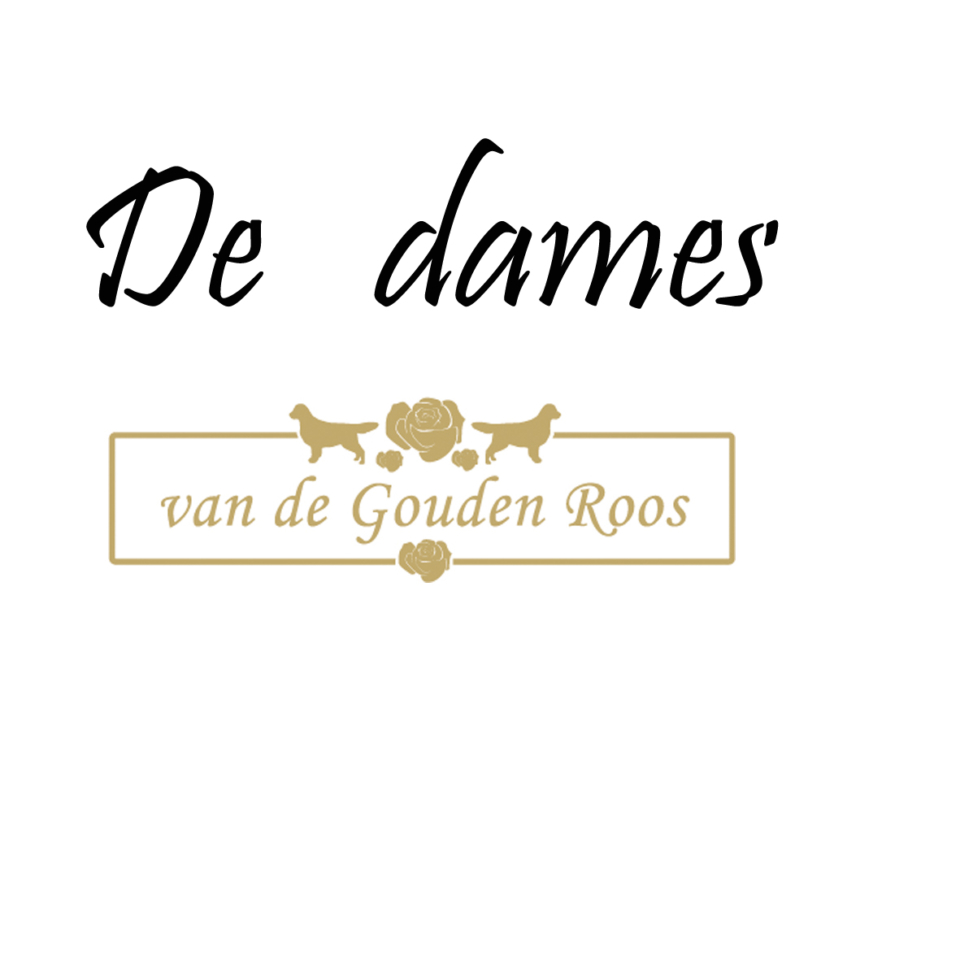 DE Dames